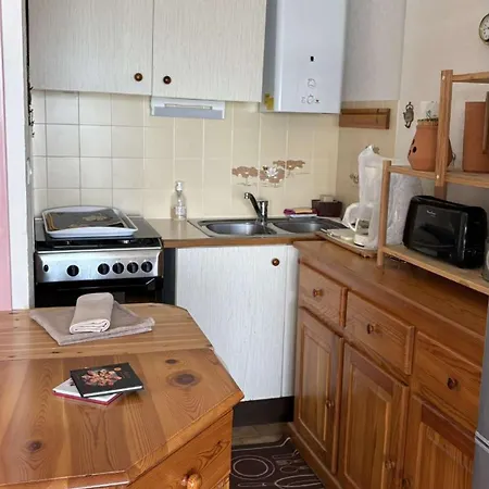 公寓 Au Panoramic 阿格德